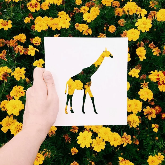 scherenschnitt vorlage giraffe studentenblumen