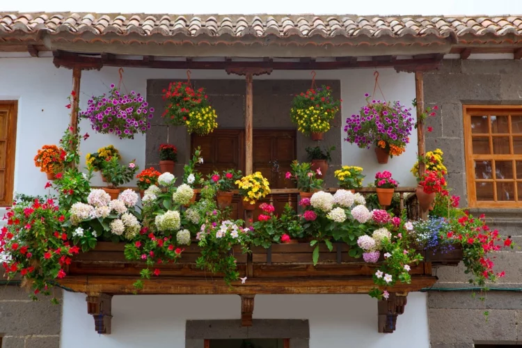Balkon dekorieren pflegeleichte Balkonpflanzen Balkon Ideen