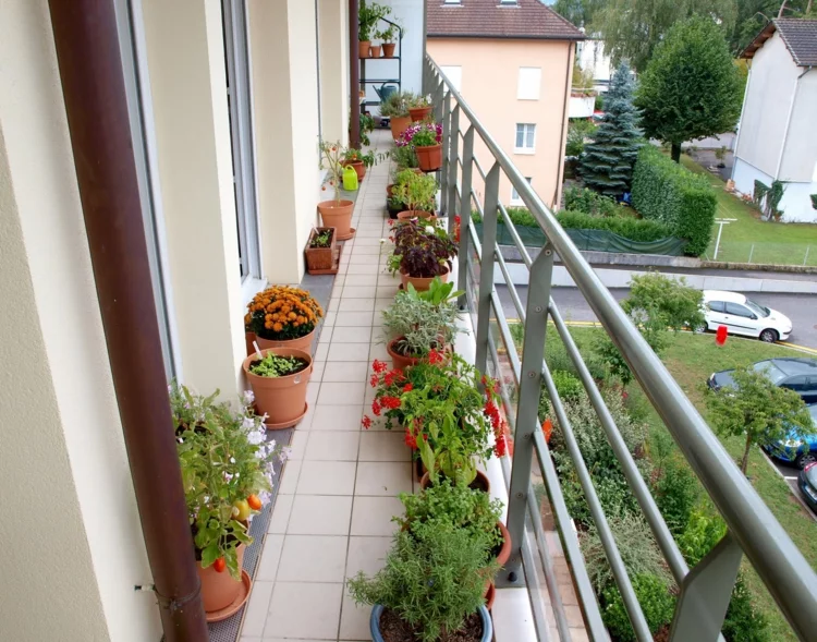 Balkonpflanzen sonnig kleinen Balkon gestalten und dekorieren