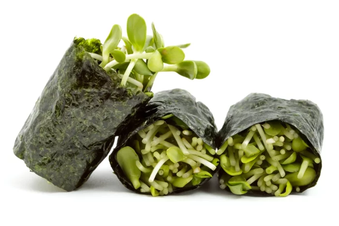 algen essen ideen sushi algen rezeptideen
