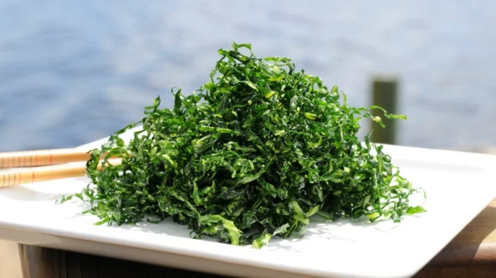 algen essen rezeptideen algenarten gesund