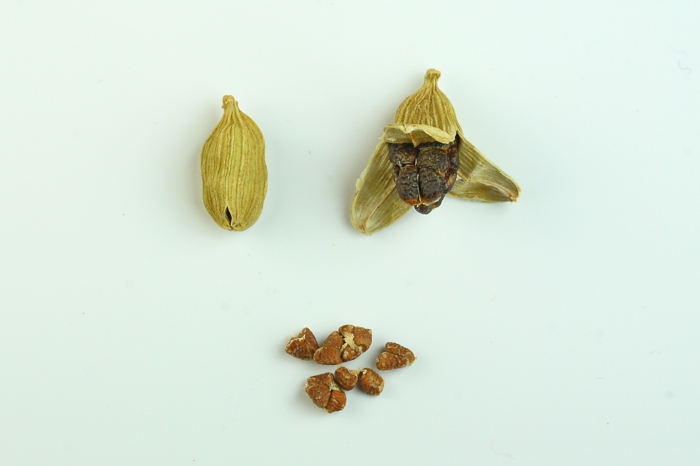 Elettaria cardamomum aromatisch gesund samen grüne hülse