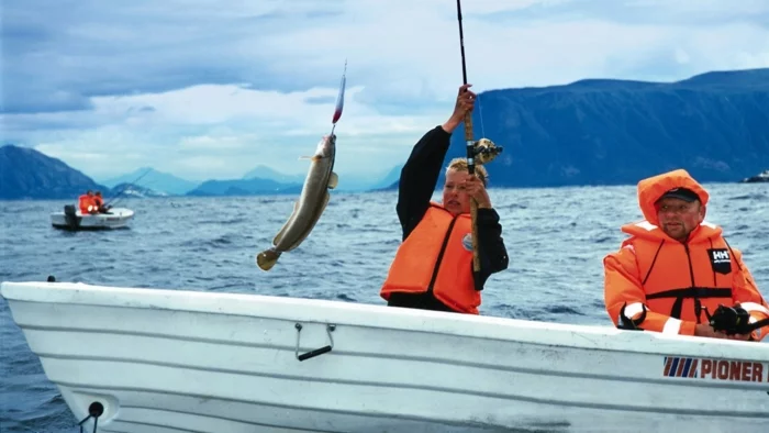 norwegen fjorde fisch angeln