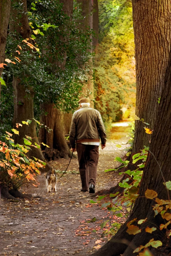 positiv denken lernen spaziergang natur alter mann hund