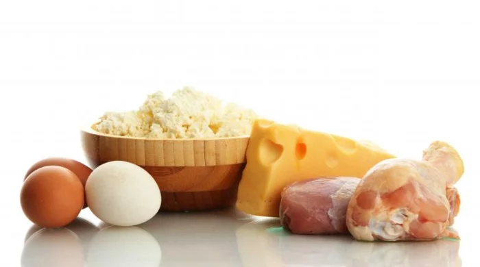 proteinquellen-milchprodukte-käse-fleisch-eier