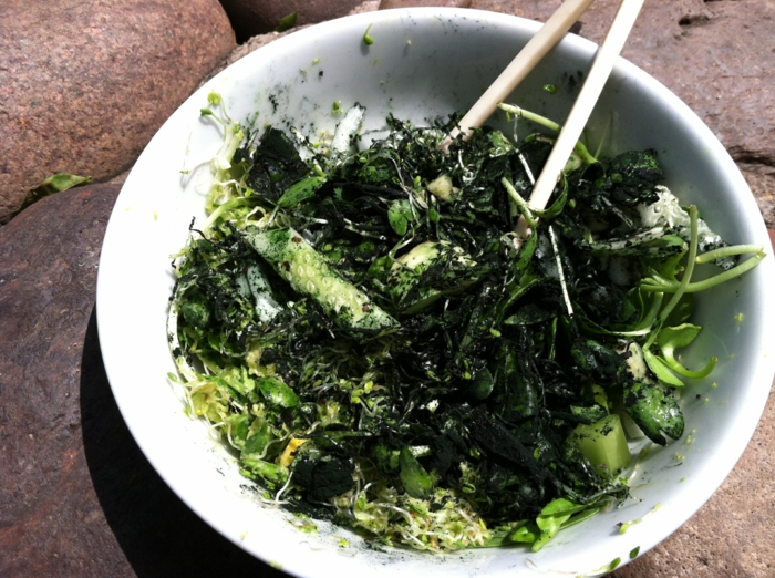 spirulina  algen gesunde rezepte grüner salat