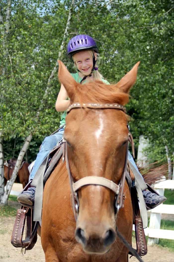 sportarten für kinder mädchen pferd reitend