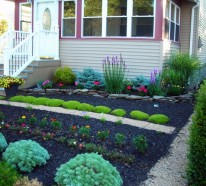 Vorgarten mit Pflanzen gestalten – 40 Ideen, wie Sie ein frisches Flair in den Vorgarten bringen