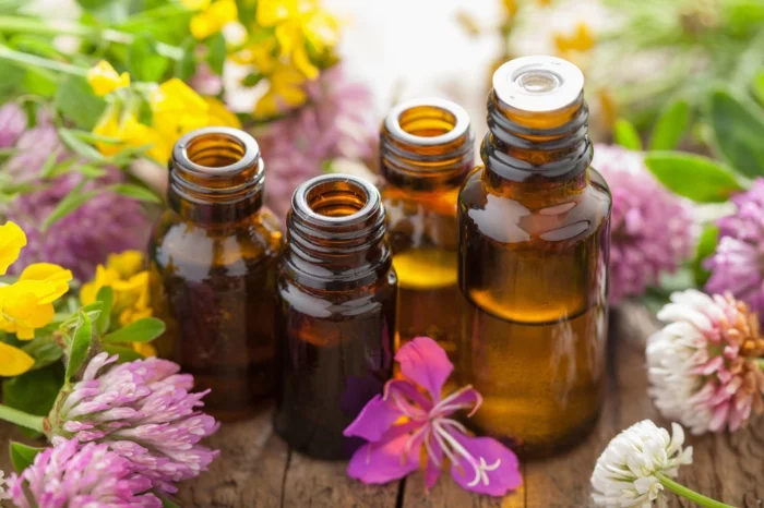 wacholder gebrauch aromatherapie lifestyle