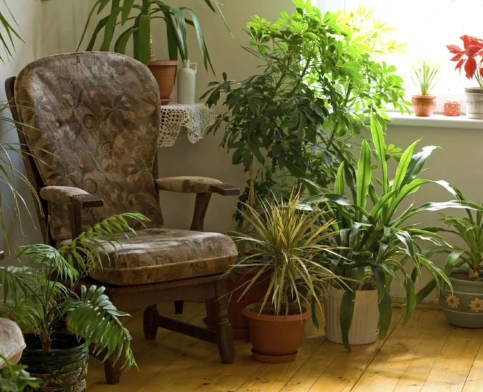 wohnung einrichten bodenbelag interiordesign zimmerpflanzen