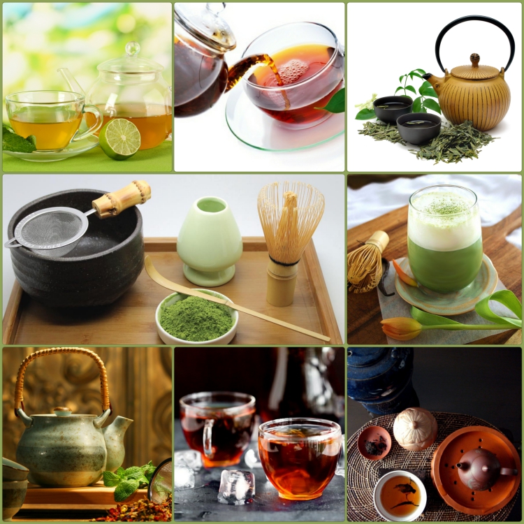 Teesorten Tee trinken Wirkung ist Tee gesund