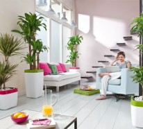 Dekorieren Sie Ihr Zuhause mit schönen Zimmerpflanzen, die auch pflegeleicht sind