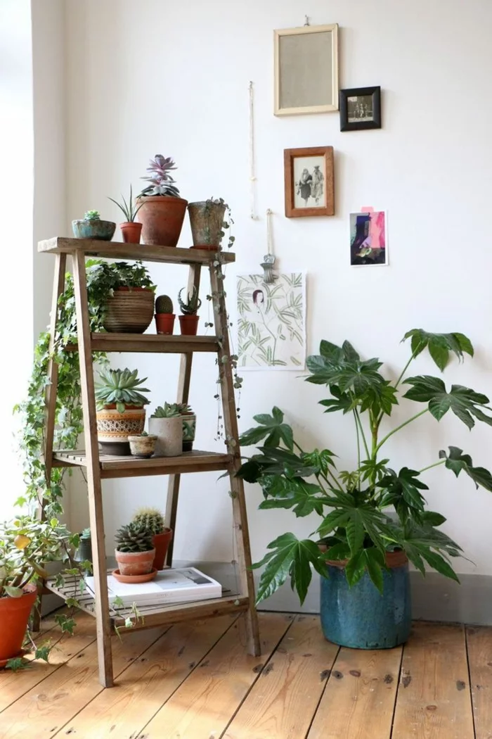 pflegeleichte Zimmerpflanzen Bilder Holztreppe Regal