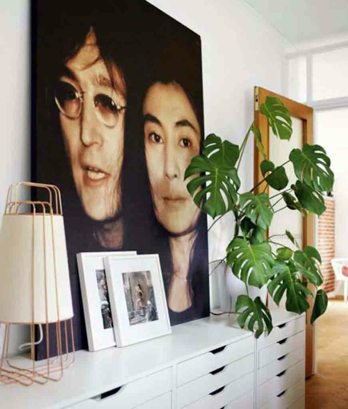 pflegeleichte Zimmerpflanzen Bilder Wanddeko Ideen