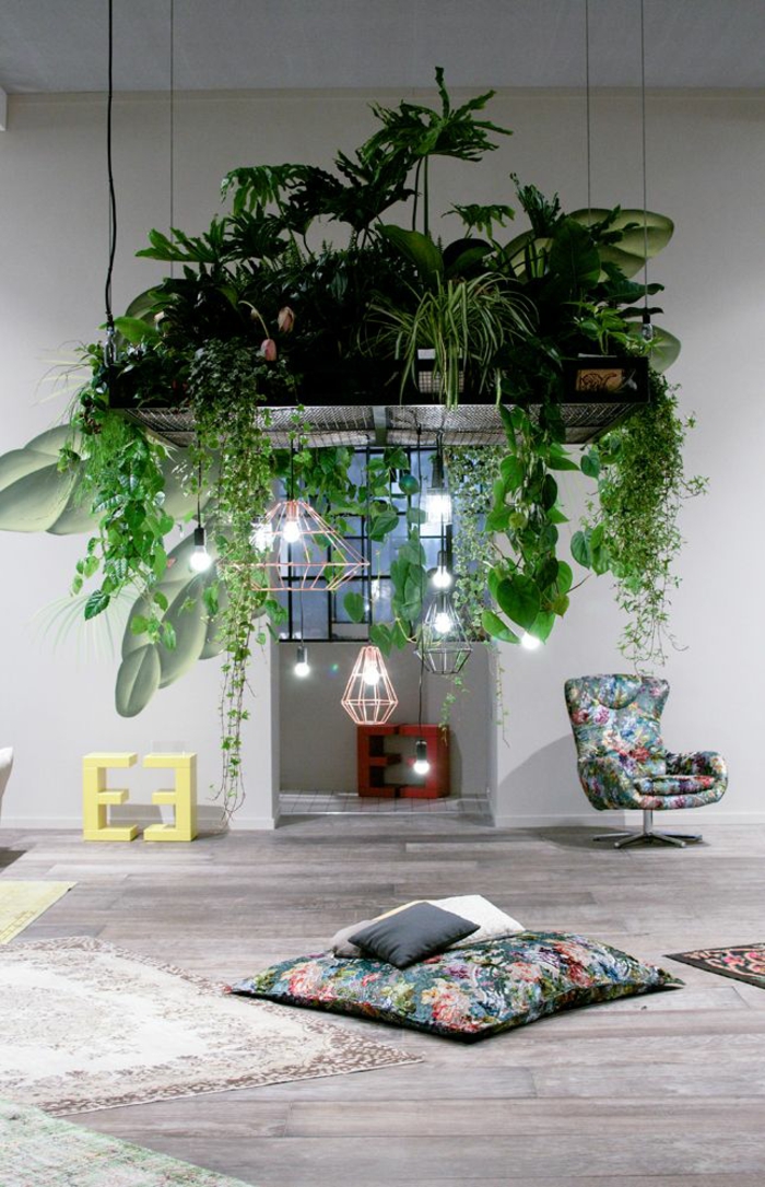 pflegeleichte Zimmerpflanzen Bilder hängende Pflanzen Pendelleuchten Design