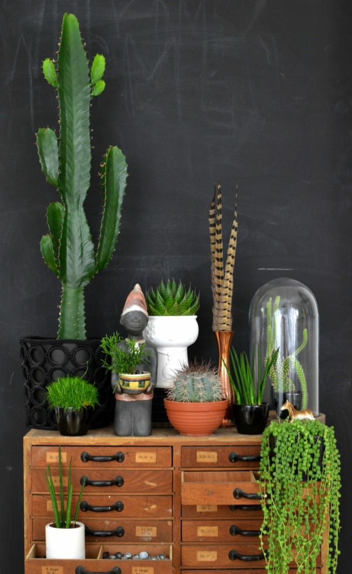 pflegeleichte Zimmerpflanzen Bilder riesengroßer Kaktus