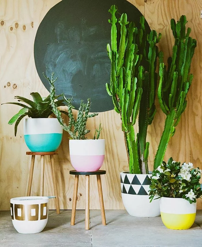 schöne Zimmerpflanzen bunte Töpfe kreative Deko Ideen