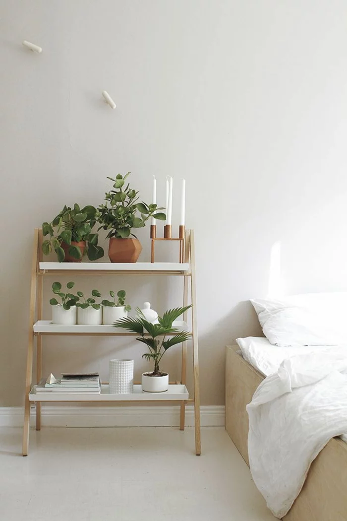 schöne Zimmerpflanzen pflegeleicht Schlafzimmer Regal Topfpflanzen