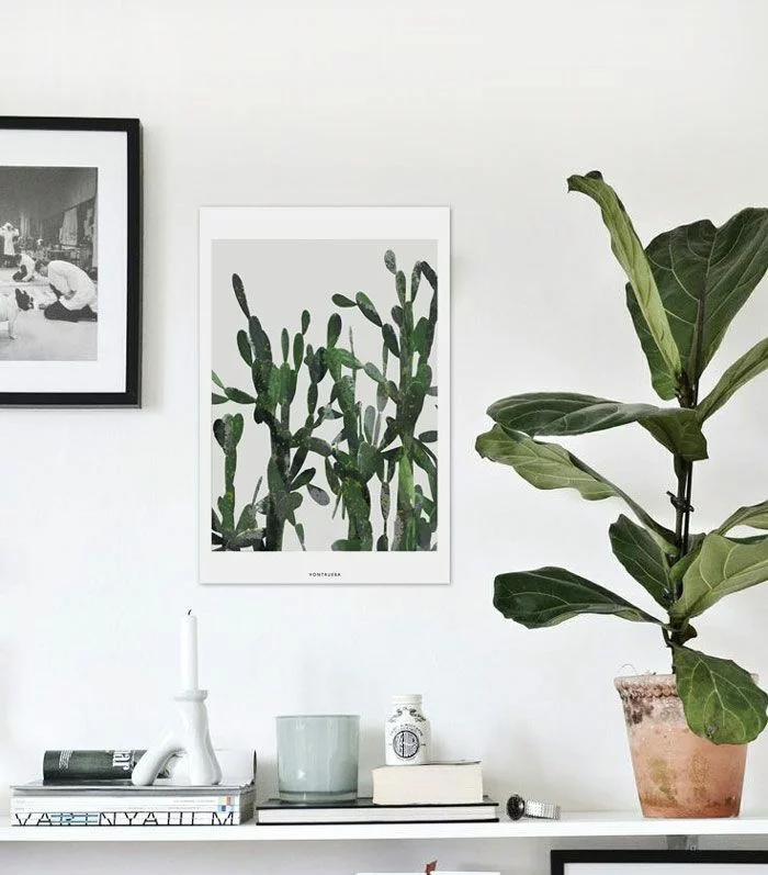 schöne Zimmerpflanzen pflegeleicht weiße Wände dekorieren