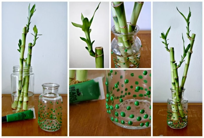 bambus deko glücksbambus grüne zimmerpflanze dekoration glas