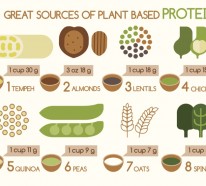 Pflanzliche Eiweiße: Welche Nahrungsmittel sind gute Proteinquellen?