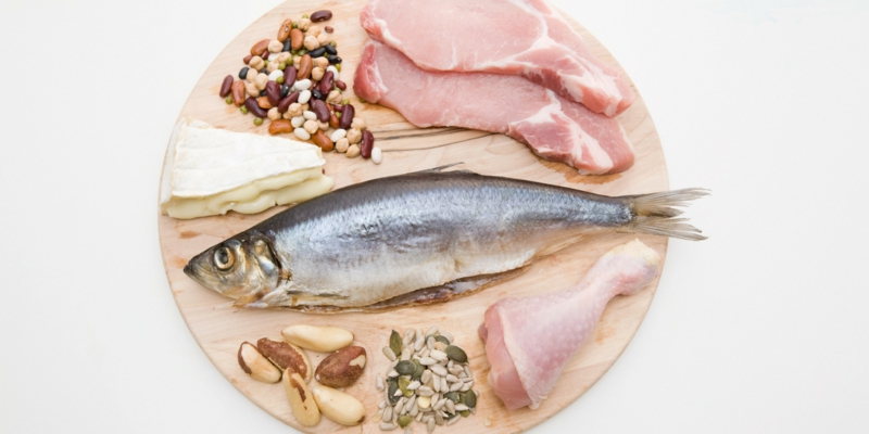 gute Proteinquellen pflanzliches Eiweiß Nahrungsmittel Fisch Fleisch Milchprodukte