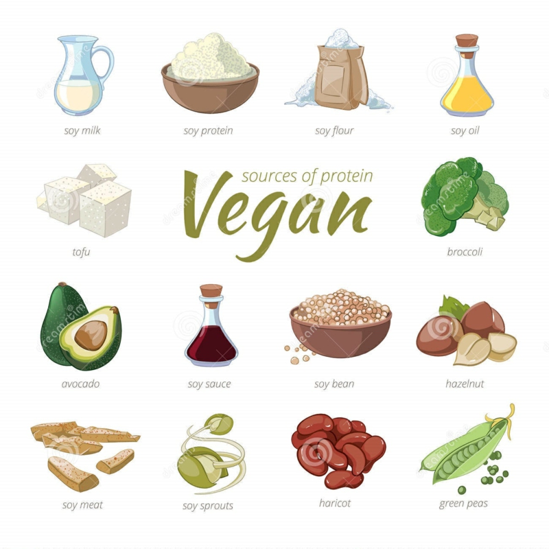 gute Proteinquellen pflanzliches Eiweiß vegane Ernährung gesund