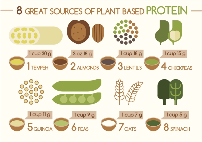 gute Proteinquellen pflanzliches Eiweiß