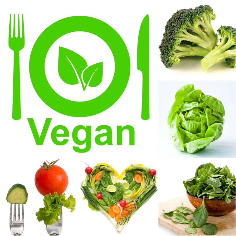 ist vegane Ernährung gesund veganer Ernährungsplan