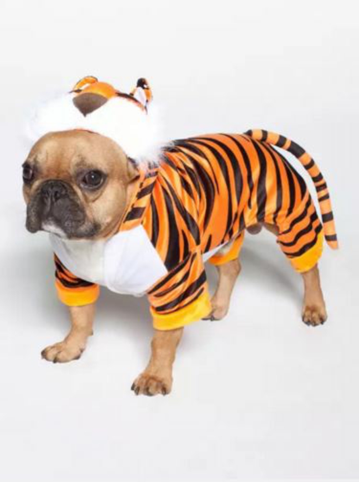  kostüme karnevalskostüme logo  koeln klowns narren kostüme karneval umzug tiger hund