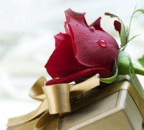 Liebeserklärung Bilder: Welche sind die schönsten Ideen zum Valentinstag