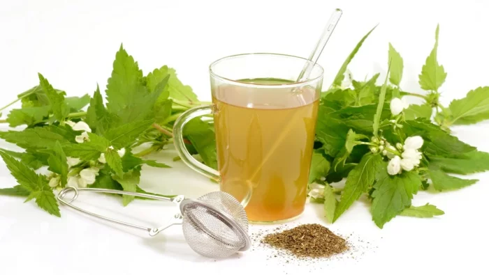 schnell und gesund abnehmen gesunde ernährung tee trinken
