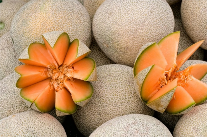 trennkost ernährung gesund frisches obst zuckermelone essen
