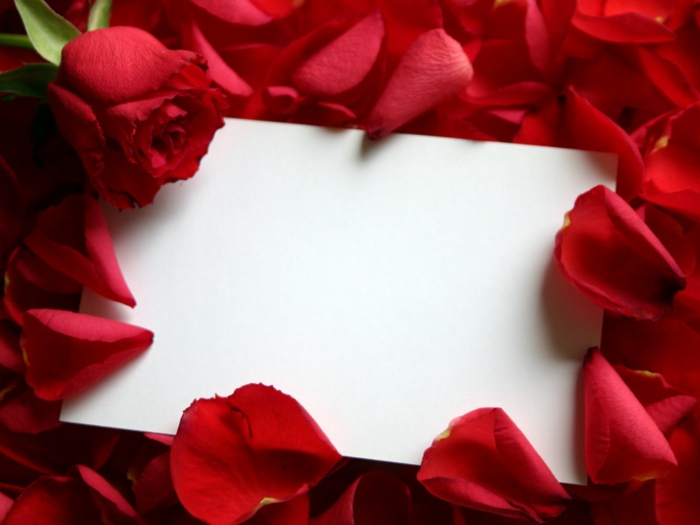 valentinstag bedeutung rosen verschenken spanien dänemark