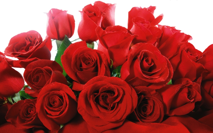 valentinstag bedeutung rote rosen schenken spanien