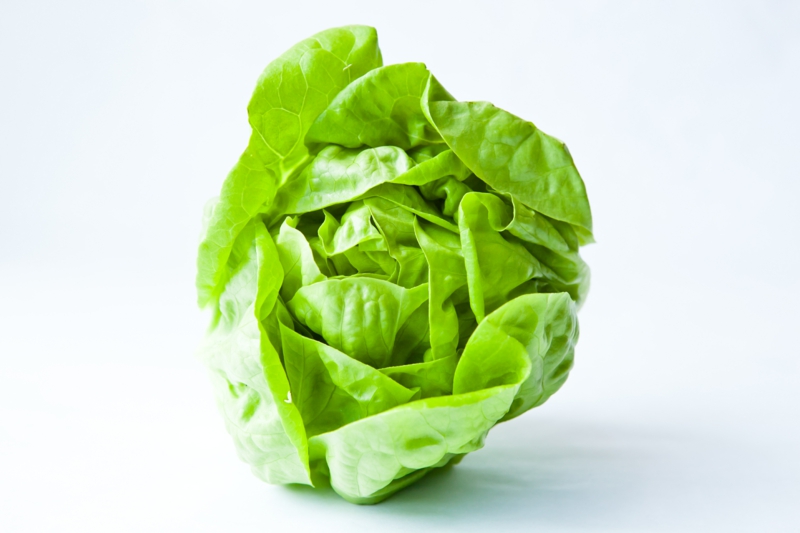 vegane Ernährung gesund Kopfsalat vegan leben