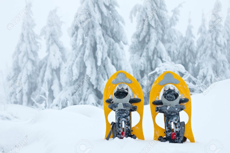 Schneeschuh Damen gelb wandern im Schnee Winterurlaub