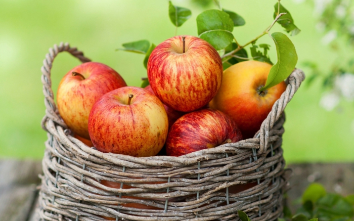 bewusste ernährung äpfel früchte essen gesund