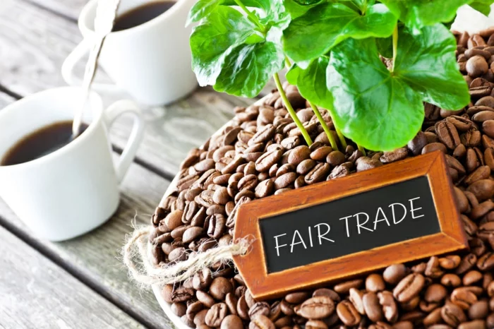 fair trade kaffee bio bohnen alternativer handel wachmacher