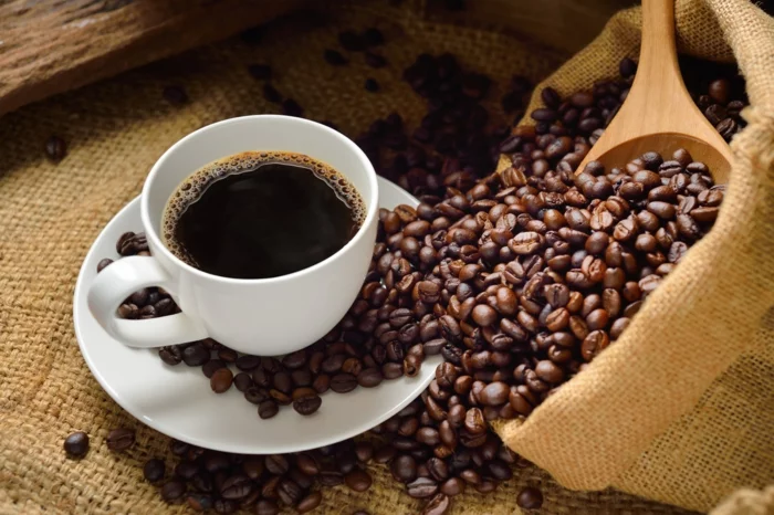 fair trade kaffee bio bohnen wachmacher online bestellen