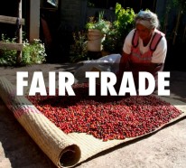 Fairtrade Produkte – überdenken Sie Ihre Lebensweise!