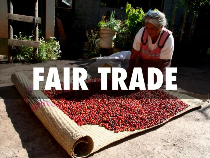 fairtrade produkte einkaufen kaffeebohnen sisalteppich frau