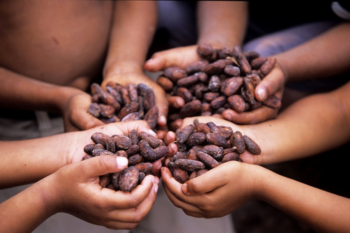 fairtrade produkte einkaufen kakaobohnen kakao fair gehandelt kinder ausbildung