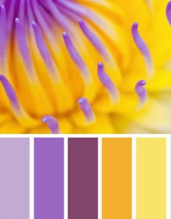 farbgestaltung wohnideen lila gelb 