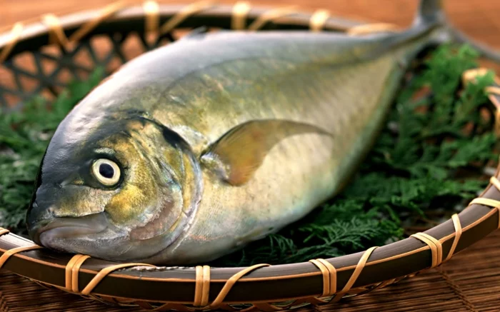Fisch zubereiten frisches fleisch fisch rezepte fisch und fang dunsten