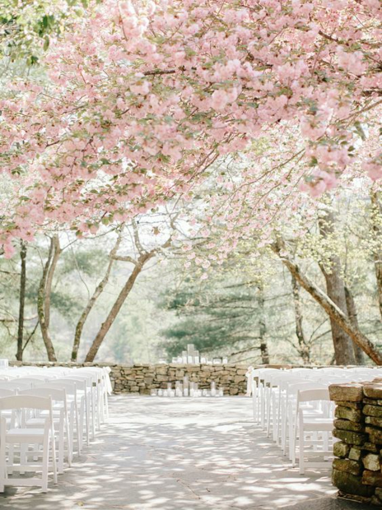 Hochzeitsfeier Ideen rosa romantische Hochzeitsdeko Frühlingsbäume