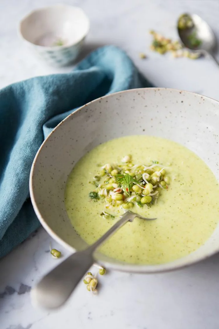 Soja Suppe Rote Beete Sprossen gesunde Ernährung Tipps