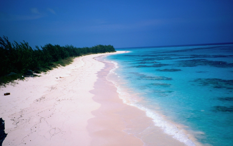 die schönsten Strände der Welt Pink Sands Beach Harbour Island Bahamas