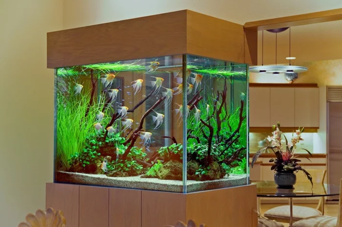 aquarium zuhause richtig pflegen wohnzimmer