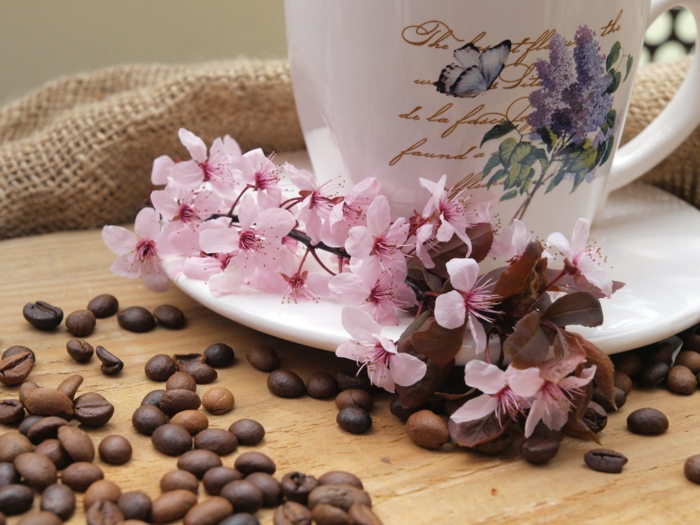 dekoideen frühling kaffeebohnen frühlingszweige mandelblüten decoesfera